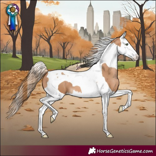 Horse Color:Chestnut Pearl Splash Tobiano 