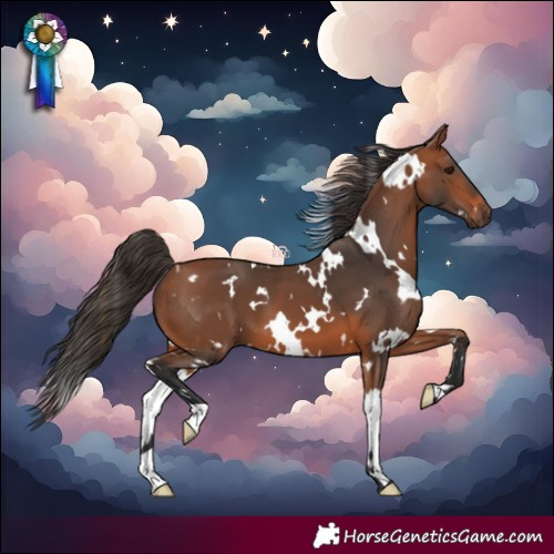 Horse Color:White Spotted Bay