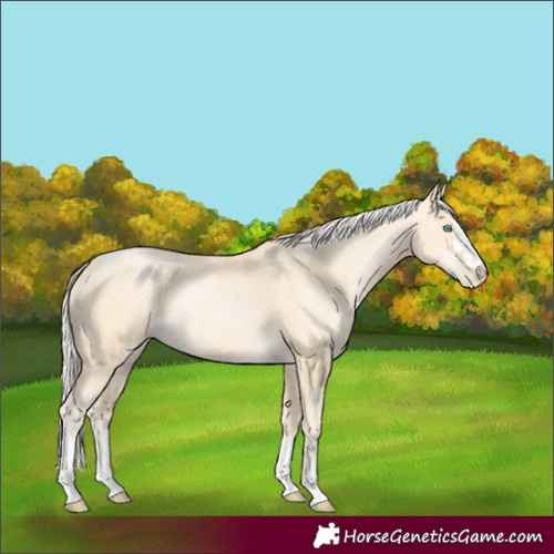 Horse Color:Palomino Pearl 