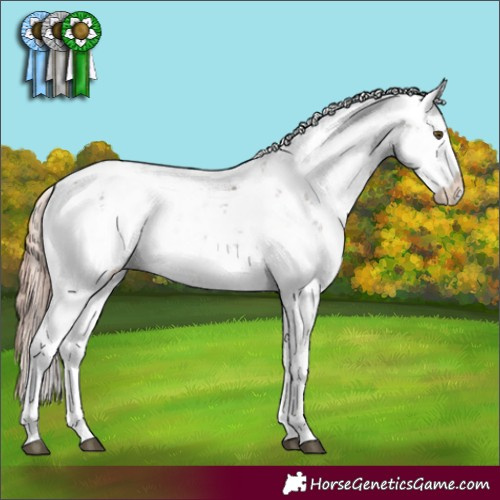 Horse Color:Liver Chestnut Sabino 