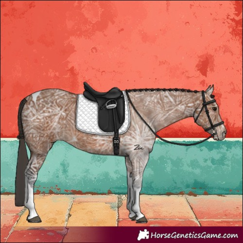 Horse Color:Bay Ice Tobiano 