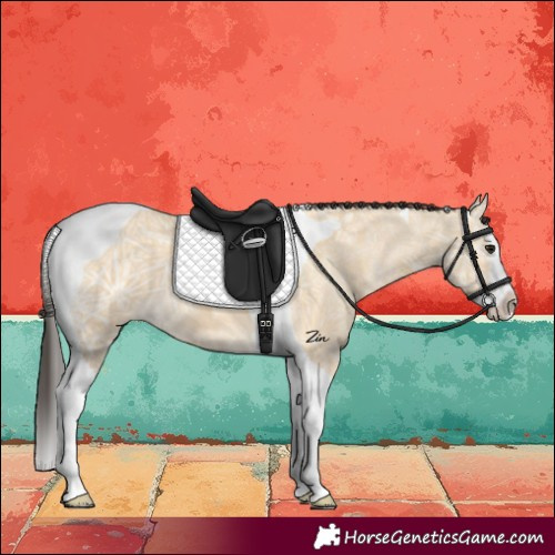 Horse Color:Buckskin Ice Splash Tobiano