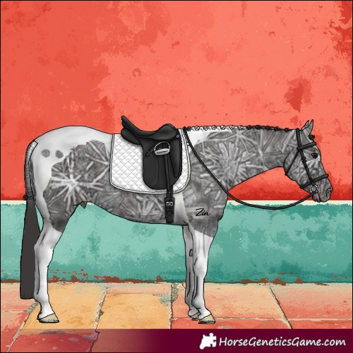 Horse Color:Smoky Black Ice Tobiano