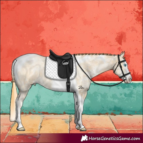 Horse Color:Buckskin Ice Pearl Splash Tobiano