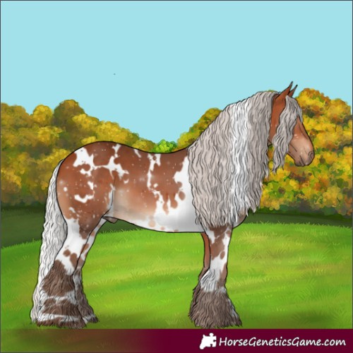 Horse Color:White Spotted Silver Bay