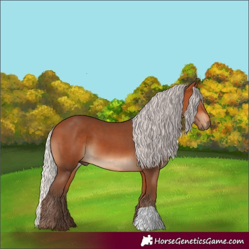 Horse Color:Silver Bay 