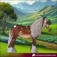 Horse Color:White Spotted Silver Brown Tobiano 