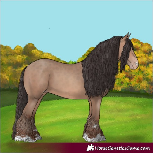 Horse Color:Sable Champagne 