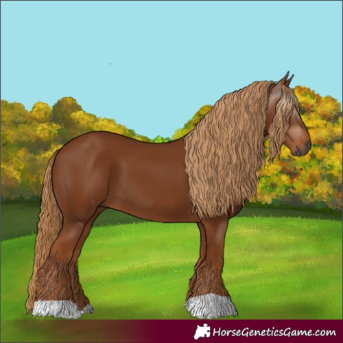 Horse Color:Gray Chestnut 
