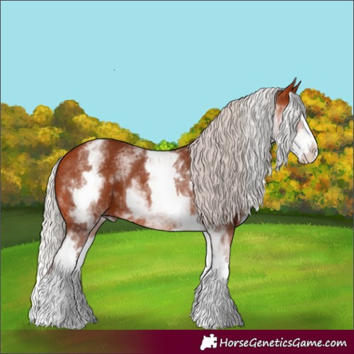 Horse Color:White Spotted Silver Bay Splash