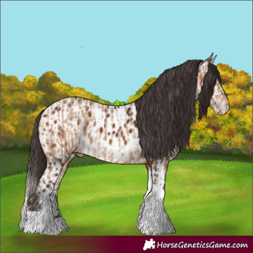 Horse Color:Amber Champagne Splash Tobiano  and Bay Tobiano Near Leopard 