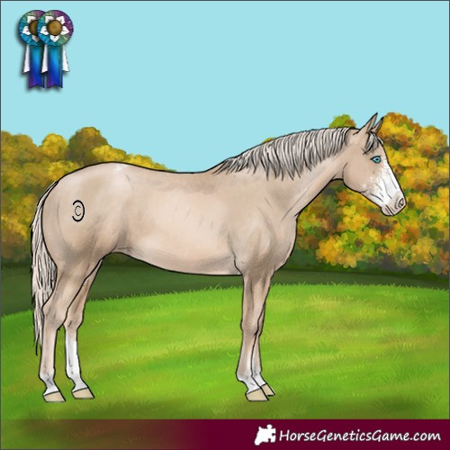 Horse Color:Chocolate Palomino Pearl Sabino Appaloosa 