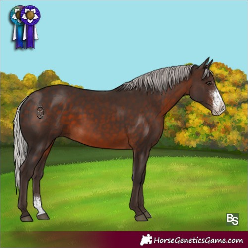 Horse Color:Silver Brown Sabino Rabicano 