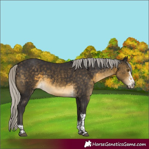 Horse Color:Silver Buckskin Sabino Tobiano Rabicano