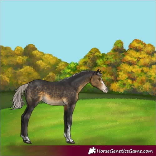 Horse Color:Silver Buckskin Sabino Tobiano Rabicano 