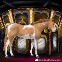 Horse Color:Chestnut Tobiano Frame