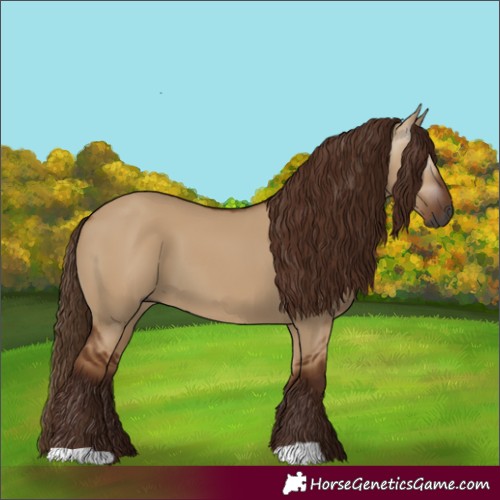 Horse Color:Gray Red Dun