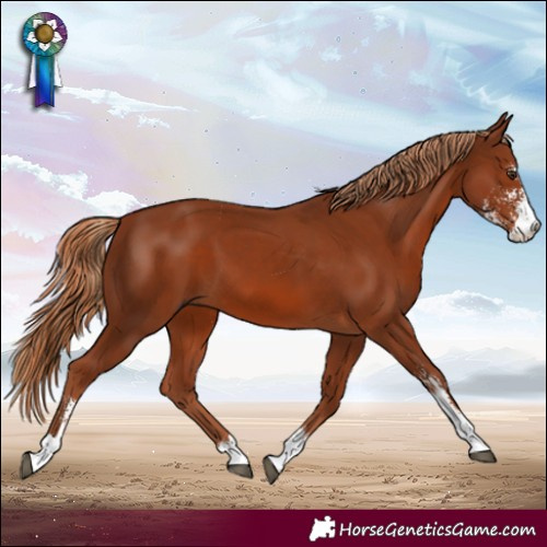 Horse Color:Chestnut Sabino
