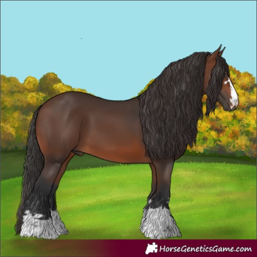 Horse Color:Brown 