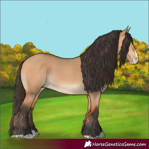 Horse Color:Bay Dun Splash 