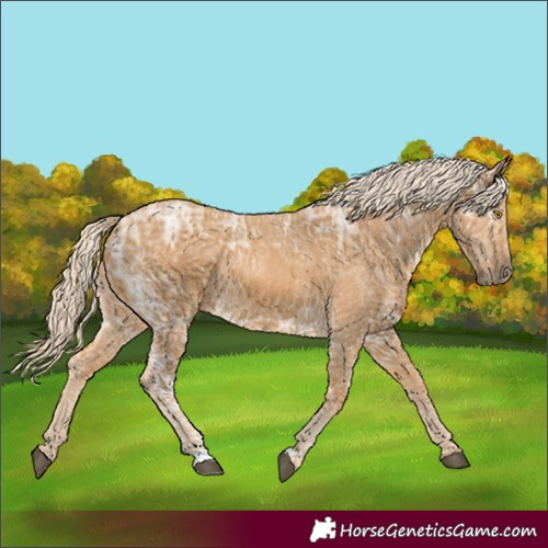 Horse Color:Palomino Ice 