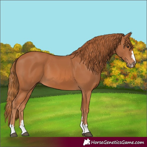 Horse Color:Unknown 