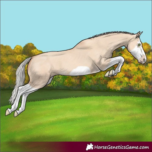 Horse Color:Silver Classic Champagne Dun Splash Frame 