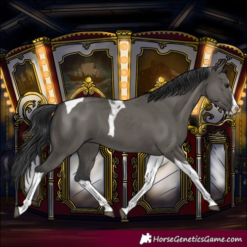 Horse Color:Grullo Splash Tobiano 