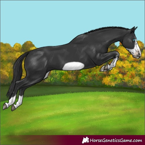 Horse Color:Black Frame 