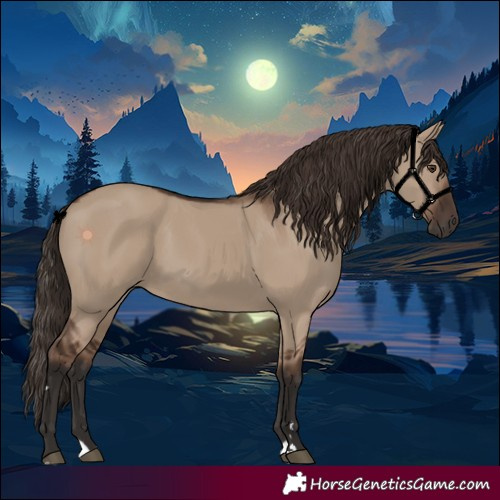 Horse Color:Liver Red Dun Rabicano