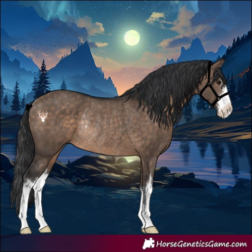 Horse Color:White Spotted Brown Dun Rabicano