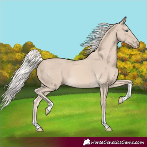 Horse Color:Cremello Tobiano