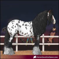 Horse Color:Brown Near Leopard 