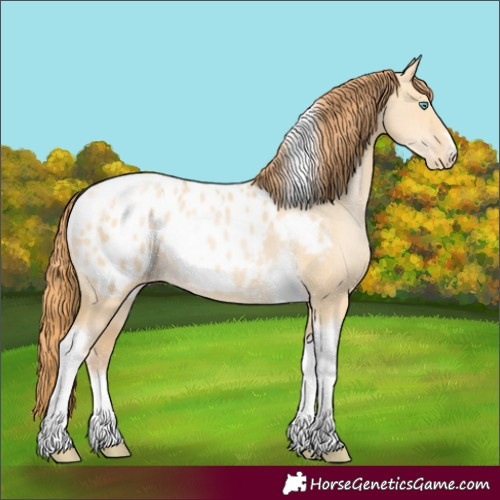 Horse Color:Buckskin Pearl Dun Tobiano Blanket