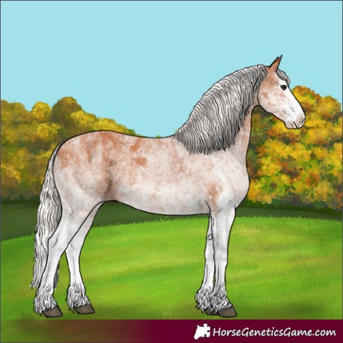 Horse Color:White Spotted Silver Bay Splash  and White Spotted Silver Bay Splash 
