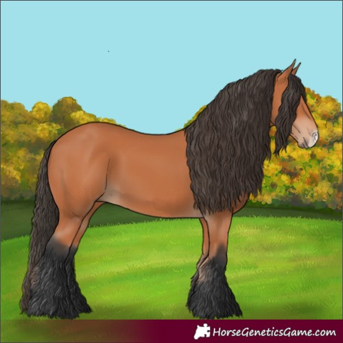 Horse Color:Bay Frame