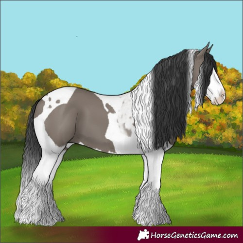 Horse Color:Grullo Splash Tobiano