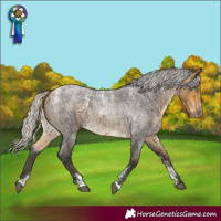 Horse Color:Powder White Silver Buckskin Roan 
