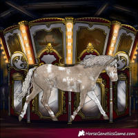 Horse Color:White Spotted Silver Grullo Splash Varnish Rabicano 