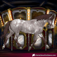 Horse Color:White Spotted Chocolate Brown Roan Splash 