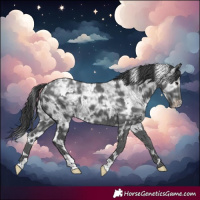 Horse Color:White Spotted Black Ice
