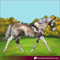 Horse Color:White Spotted Silver Brown Onyx