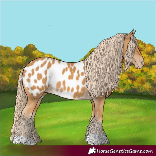 Horse Color:Palomino Near Leopard
