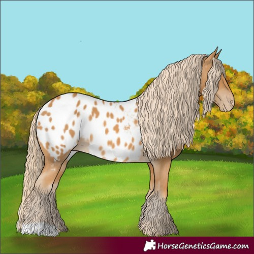 Horse Color:Palomino Blanket 