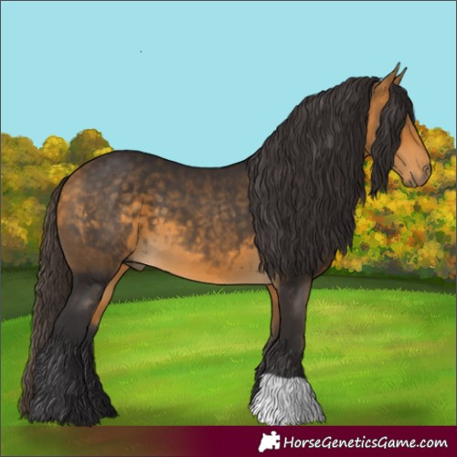 Horse Color:Buckskin