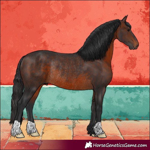 Horse Color:Brown Rabicano