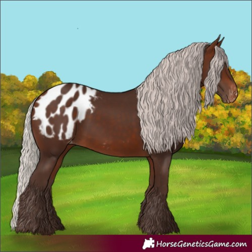 Horse Color:Silver Brown Blanket 