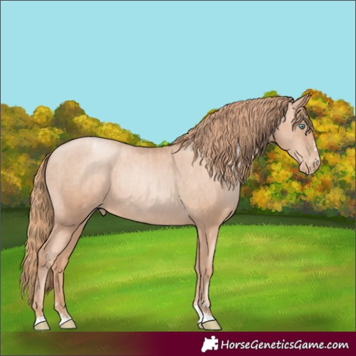 Horse Color:Gold Champagne Pearl Rabicano  and Gold Champagne Pearl Varnish Rabicano 