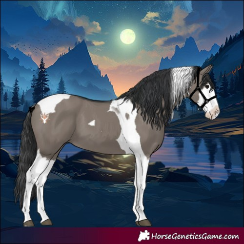 Horse Color:Grullo Splash Tobiano 