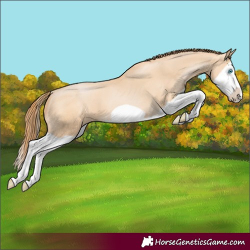 Horse Color:Unknown 